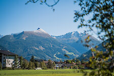 Galeriebild 10