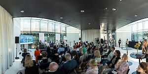 Galeriebild 11