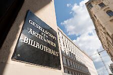 Galeriebild 1