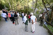 Galeriebild 9