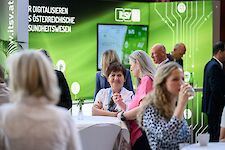Galeriebild 13